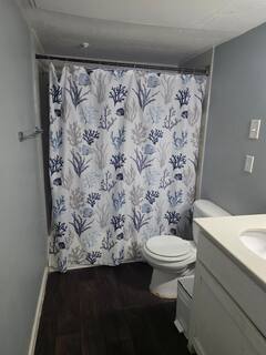 The Bluebonnet — bathroom